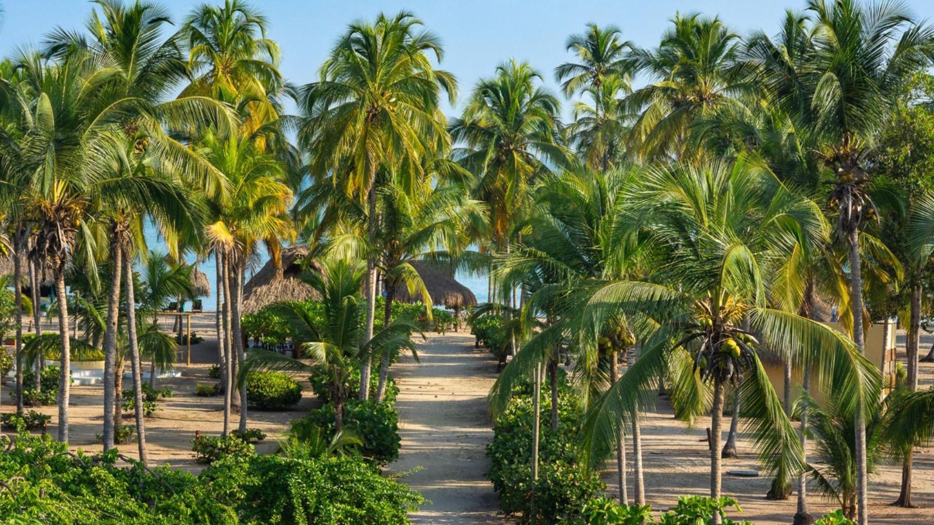Aite Eco Resort Паломино Экстерьер фото